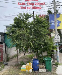 ❌❌Chủ cần tiền làm ăn nên hạ giá SỐC giảm từ 6.7 tỷ xuống còn 5 tỷ 999tr ❌❌